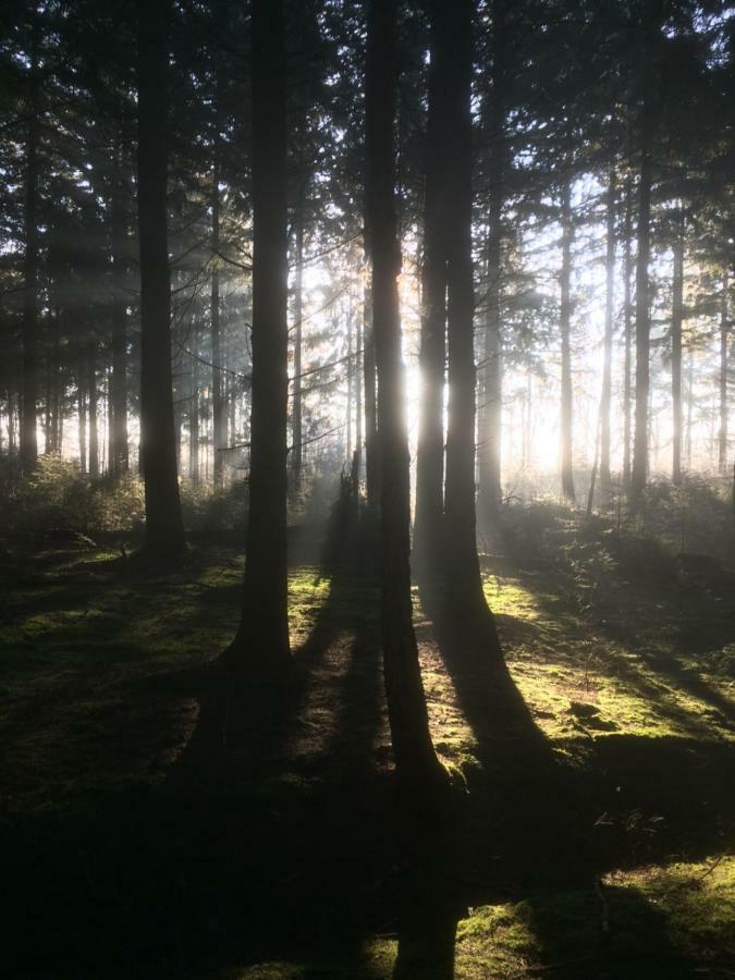 Bed En Breakfast Donkersvoort Beek en Donk Zewnętrze zdjęcie